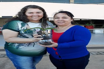 Foto - Curso de Manejo de Orquídeas - Realizado em 26/05/2019