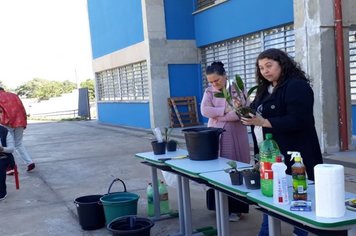 Foto - Curso de Manejo de Orquídeas - Realizado em 26/05/2019