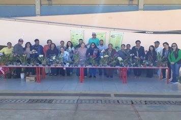 Foto - Curso de Manejo de Orquídeas - Realizado em 26/05/2019