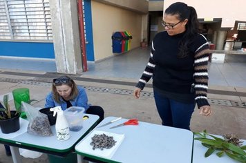 Foto - Curso de Manejo de Orquídeas - Realizado em 26/05/2019