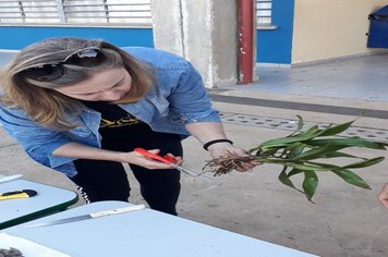 Foto - Curso de Manejo de Orquídeas - Realizado em 26/05/2019