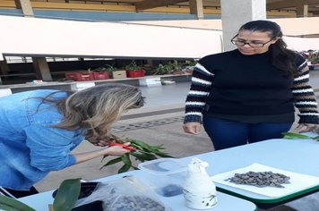 Foto - Curso de Manejo de Orquídeas - Realizado em 26/05/2019