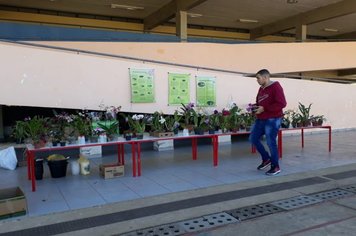 Foto - Curso de Manejo de Orquídeas - Realizado em 26/05/2019