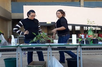 Foto - Curso de Manejo de Orquídeas - Realizado em 26/05/2019