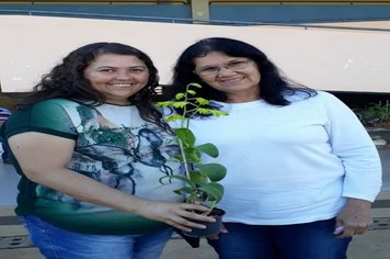 Foto - Curso de Manejo de Orquídeas - Realizado em 26/05/2019