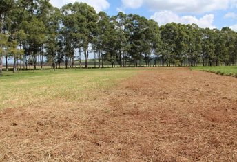 Atualização do Valor de Terra Nua por Hectare