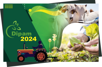 DIPAM 2024