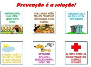 Semana Estadual de Prevenção Da Leishmaniose Visceral 08 a 12 de Agosto de 2016