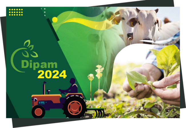 DIPAM 2024