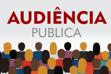 AUDIÊNCIA PÚBLICA DE METAS